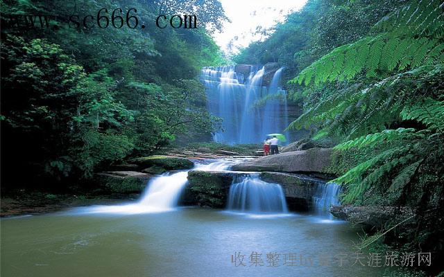 贵州赤水开心三日游（含四洞沟、侏罗纪公园）