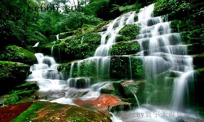 贵州赤水开心三日游（四洞沟、佛光岩、侏罗纪、赤水大瀑布）【醉美】