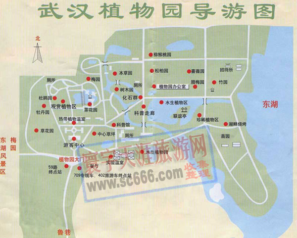 武汉植物园导游图