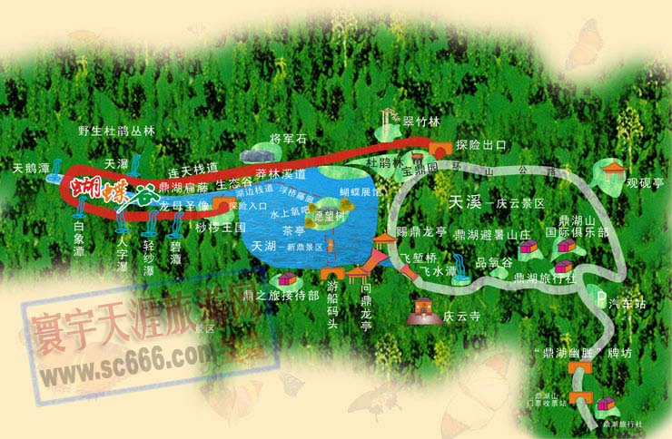 鼎湖山蝴蝶谷原始雨林导游图